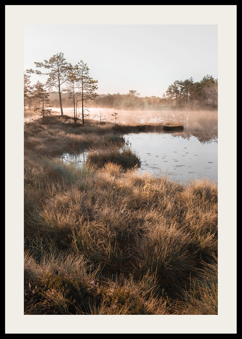 Plakat z pięknym zdjęciem przyrody nad mglistym terenem podmokłym-12