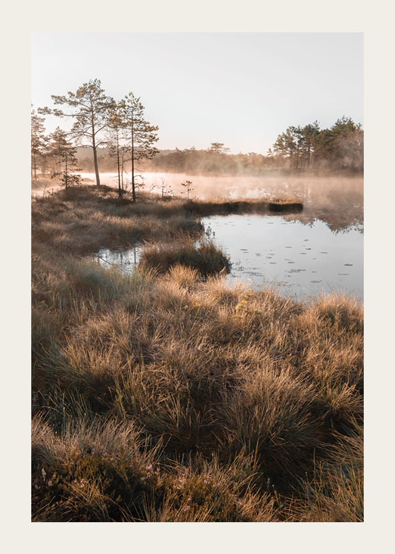 Plakat z pięknym zdjęciem przyrody nad mglistym terenem podmokłym-12