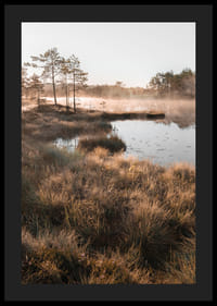 Plakat z pięknym zdjęciem przyrody nad mglistym terenem podmokłym-4