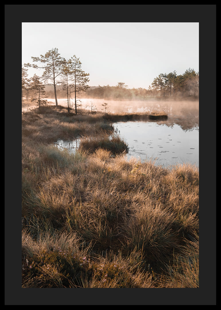 Plakat z pięknym zdjęciem przyrody nad mglistym terenem podmokłym-12