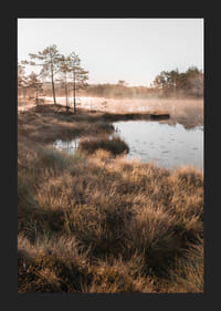 Plakat z pięknym zdjęciem przyrody nad mglistym terenem podmokłym-5