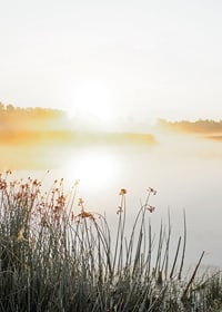 Poster med vacker naturbild över en dimmig sjö i soluppgång-7