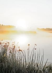 Afiș cu vedere frumoasă la natură peste un lac cețos la răsărit-3