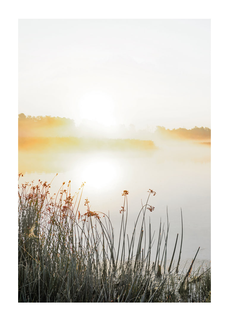 Poster med vacker naturbild över en dimmig sjö i soluppgång-12