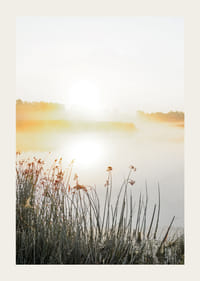 Poster with beautiful nature view over a misty lake at sunrise-3