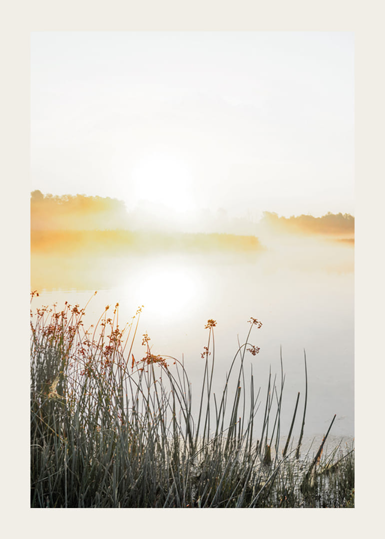Poster with beautiful nature view over a misty lake at sunrise-12