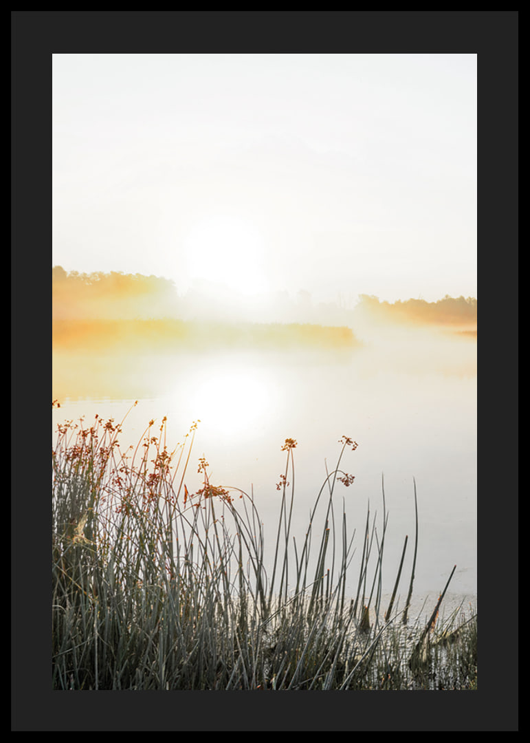 Poster med vacker naturbild över en dimmig sjö i soluppgång-12