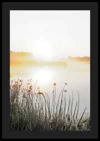 Poster with beautiful nature view over a misty lake at sunrise-4