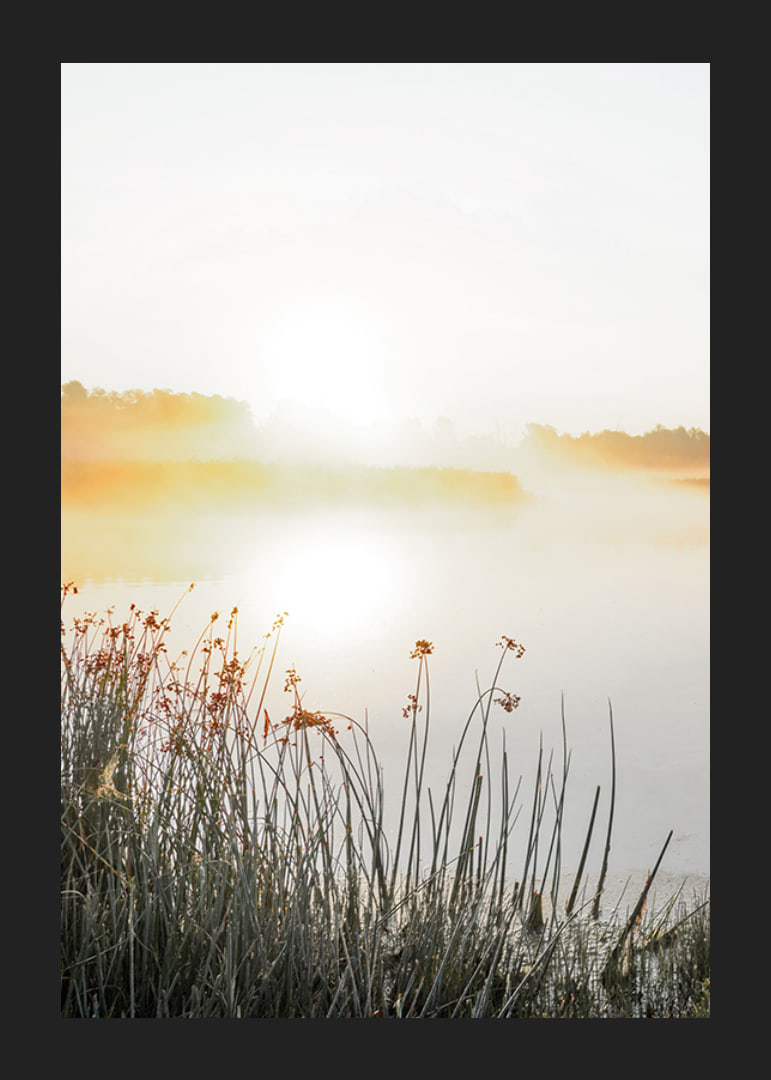 Poster med vacker naturbild över en dimmig sjö i soluppgång-12