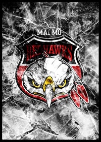 Frozen Logo Malmö Redhawks-2