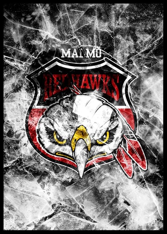 Frozen Logo Malmö Redhawks-12