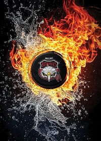 Ice And Fire Malmö Redhawks-3