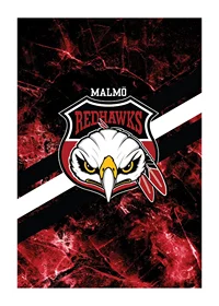 Logo Stripes Malmö Redhawks-1