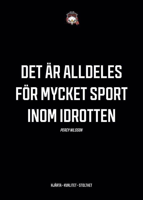 För Mycket Sport Malmö Redhawks-12