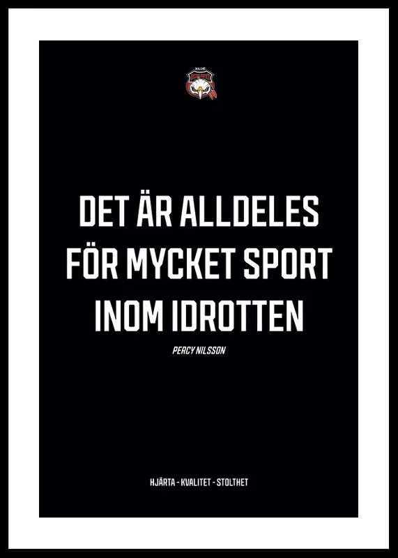 För Mycket Sport Malmö Redhawks-12