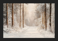 Plakatas, kuriame vaizduojamas apsnigtas miško takas, apsuptas apšalusių medžių -5