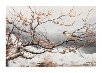 Poster Blossoms And Feathers In Frost