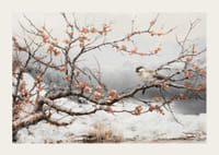 Plagát zobrazujúci vtáka na kvitnúcej vetve v pokojnej zimnej krajine-3