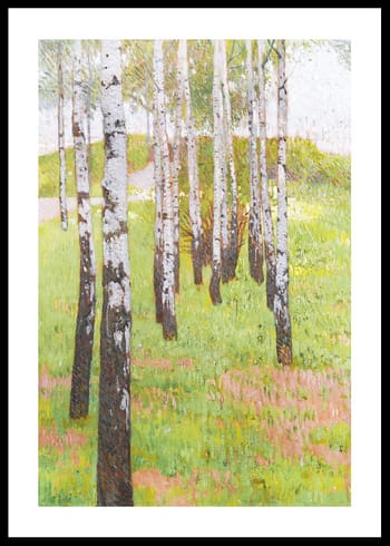 Poster Birkenwäldchen Im Abendlicht By Carl Moll