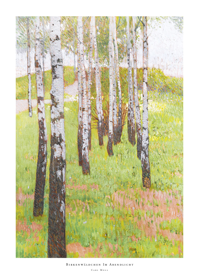 Birkenwäldchen Im Abendlicht By Carl Moll-12