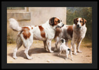 Trei câini de Carl Reichert-6