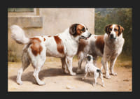 Trei câini de Carl Reichert-7