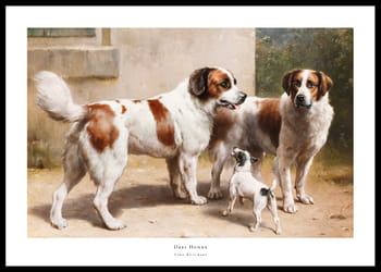 Poster Drei Hunde By Carl Reichert