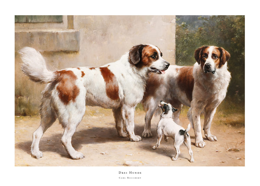 Drei Hunde By Carl Reichert-12