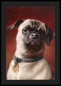 Mopy od Carla Reicherta-6