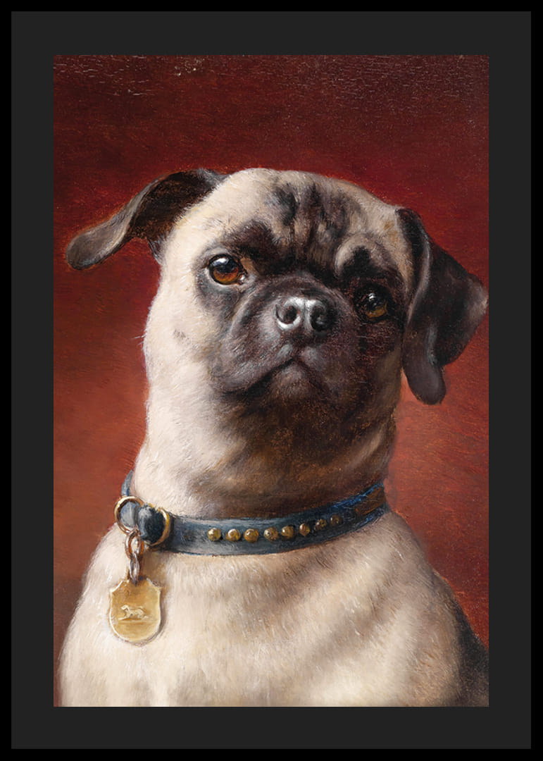 Mopy od Carla Reicherta-12