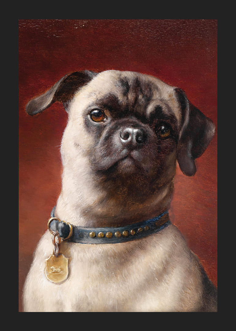 Mopy od Carla Reicherta-12