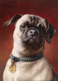 Mops By Carl Reichert-9