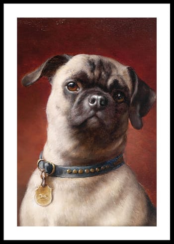 Poster Mops By Carl Reichert