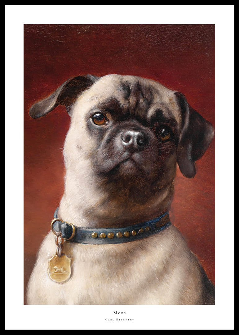 Mops By Carl Reichert-12