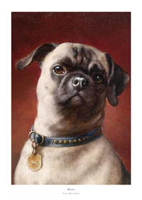 Mops By Carl Reichert-1