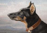 Portrait of a Doberman by Carl Reichert-9
