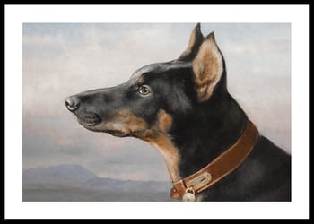 Poster Portrait Eines Dobermanns By Carl Reichert