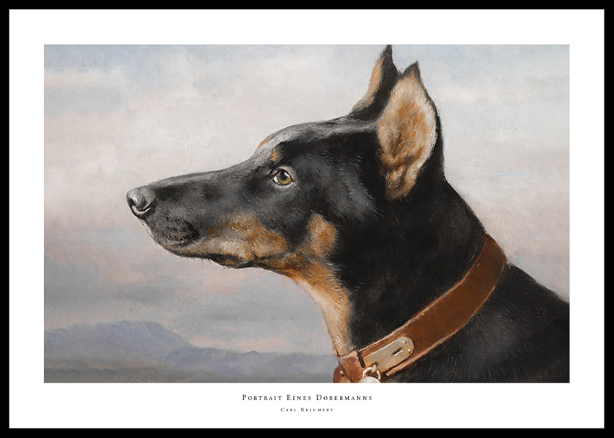 Portrait of a Doberman by Carl Reichert-12