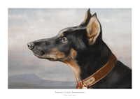 Portrait of a Doberman by Carl Reichert-1