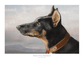 Poster Portrait Eines Dobermanns By Carl Reichert