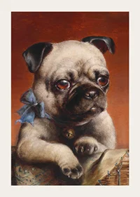 Young Pug By Carl Reichert-5