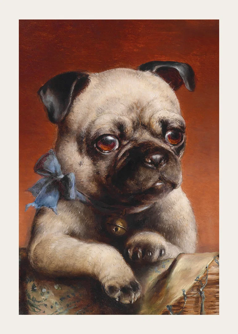 Young Pug By Carl Reichert-12