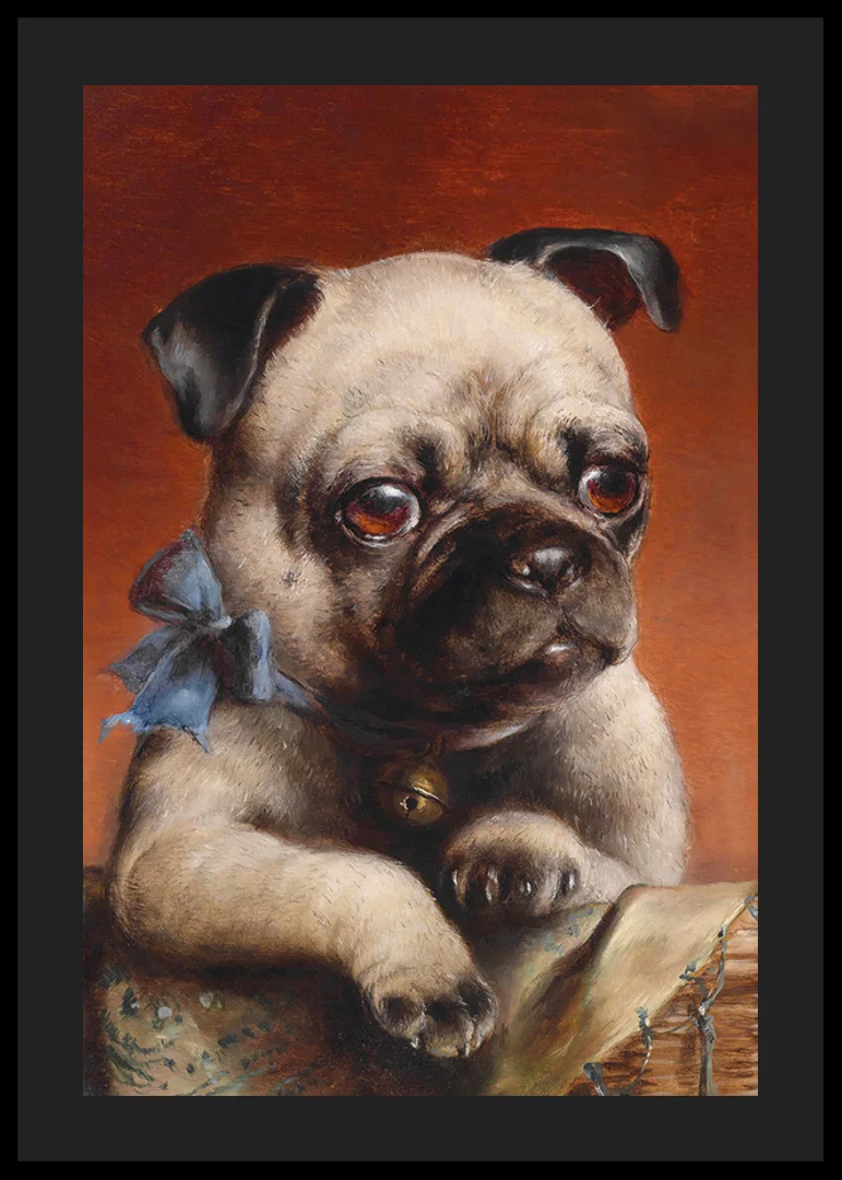 Young Pug By Carl Reichert-12