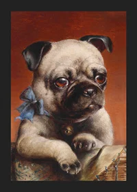 Young Pug By Carl Reichert-7
