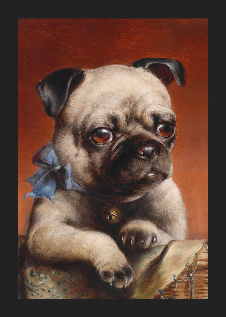 Young Pug By Carl Reichert-12