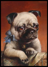 Young Pug By Carl Reichert-8