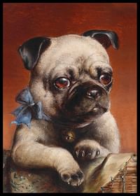 Young Pug By Carl Reichert-2