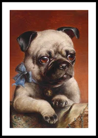 Young Pug By Carl Reichert-2