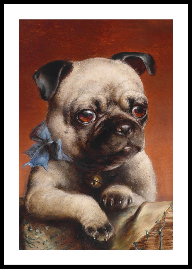 Young Pug By Carl Reichert-12