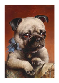 Young Pug By Carl Reichert-3